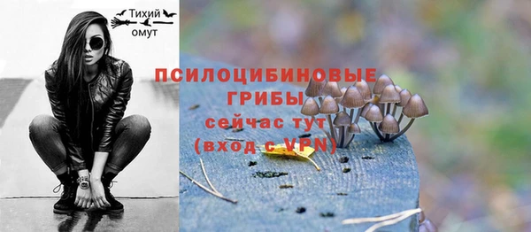 jwh Богородск