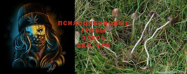 jwh Богородск