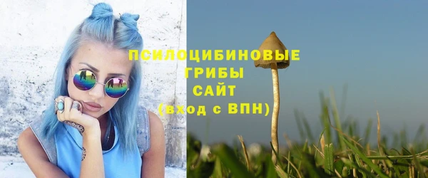 2c-b Богородицк