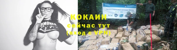 2c-b Богородицк