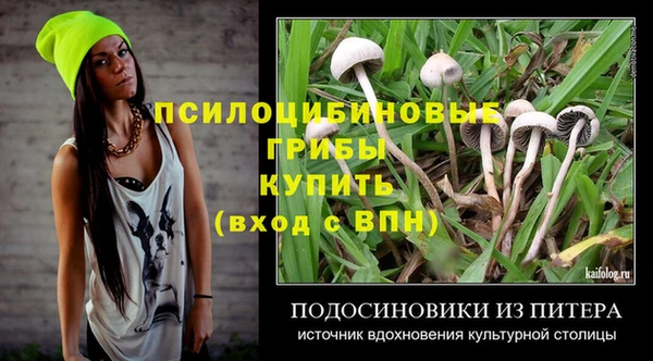 2c-b Богородицк