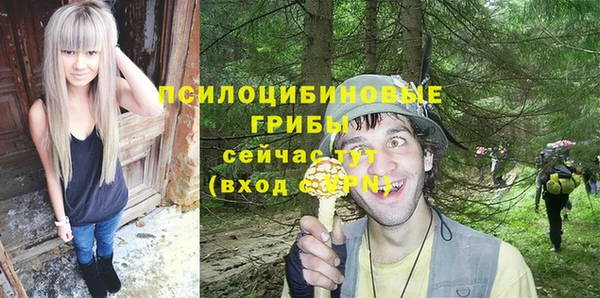 2c-b Богородицк