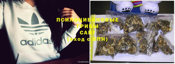 бутират Богданович