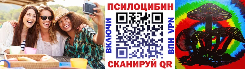 дарк нет как зайти Горнозаводск Псилоцибиновые грибы Psilocybine cubensis